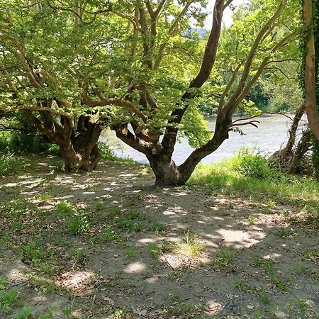 Bourazani Wild Life Resort Konitsa Luaran gambar