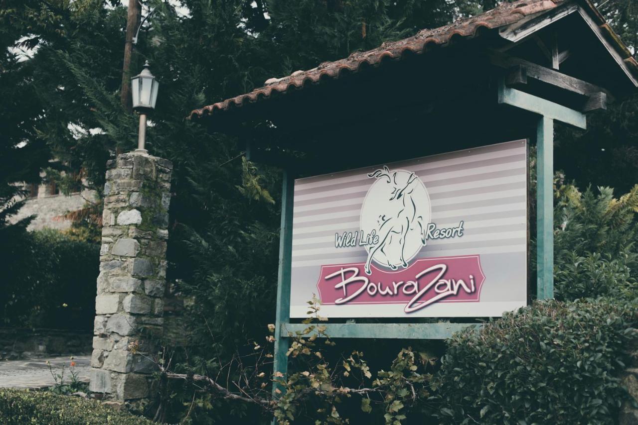 Bourazani Wild Life Resort Konitsa Luaran gambar