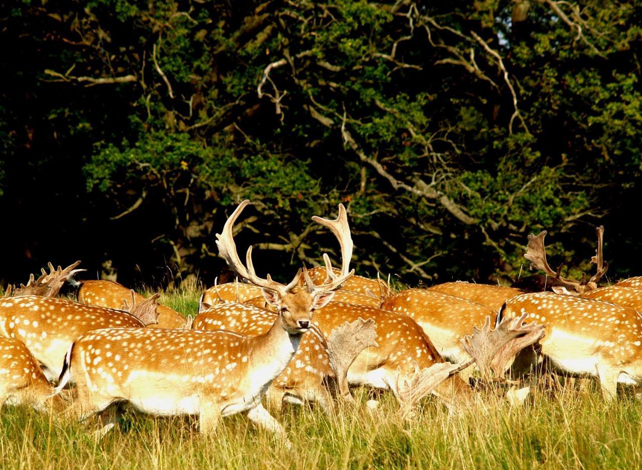 Bourazani Wild Life Resort Konitsa Luaran gambar